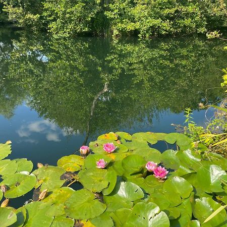 Kingfisher Cabin - Wild Escapes Wrenbury Off Grid Glamping - Ages 12 And Over Baddiley エクステリア 写真